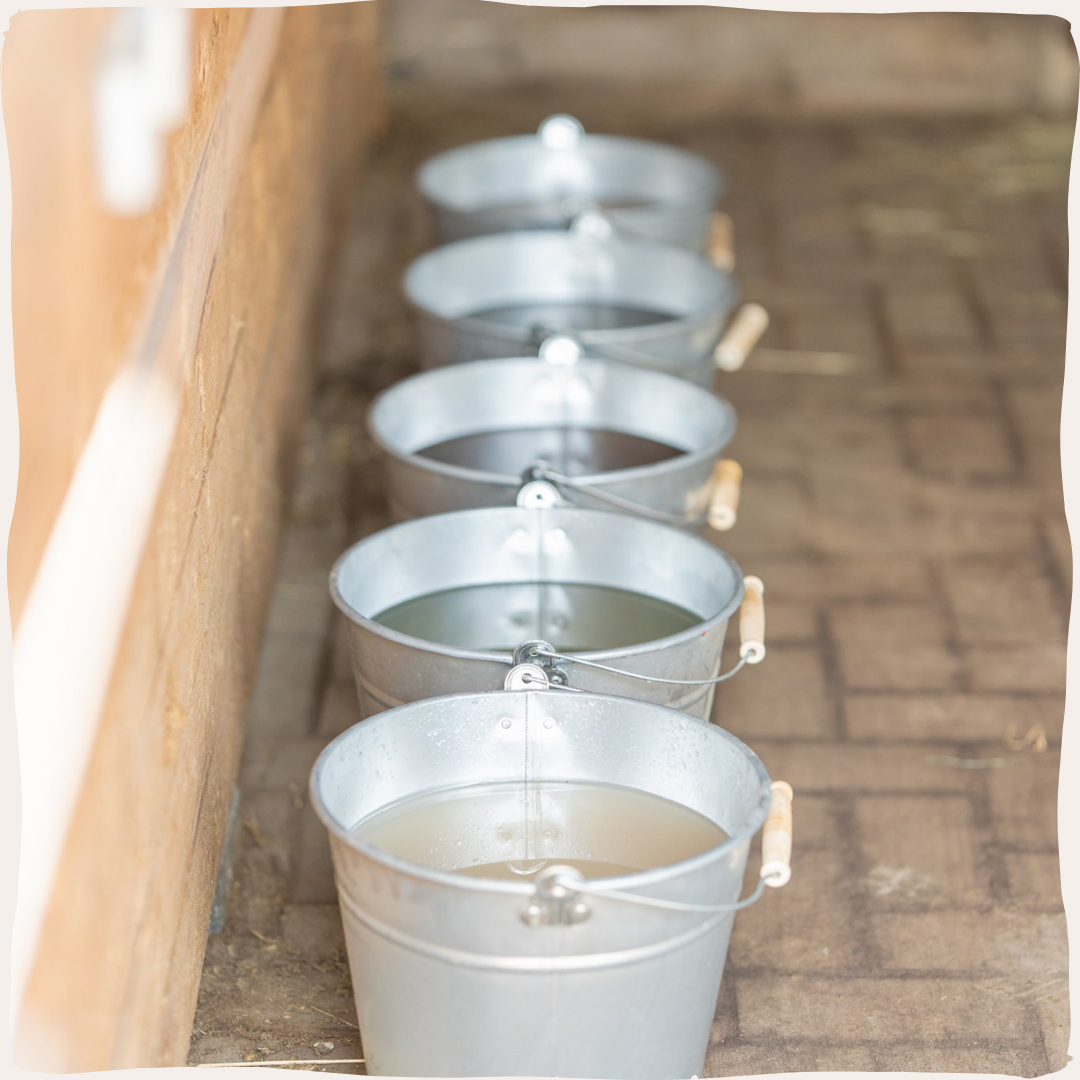Natuly mineralen buffet voor paarden