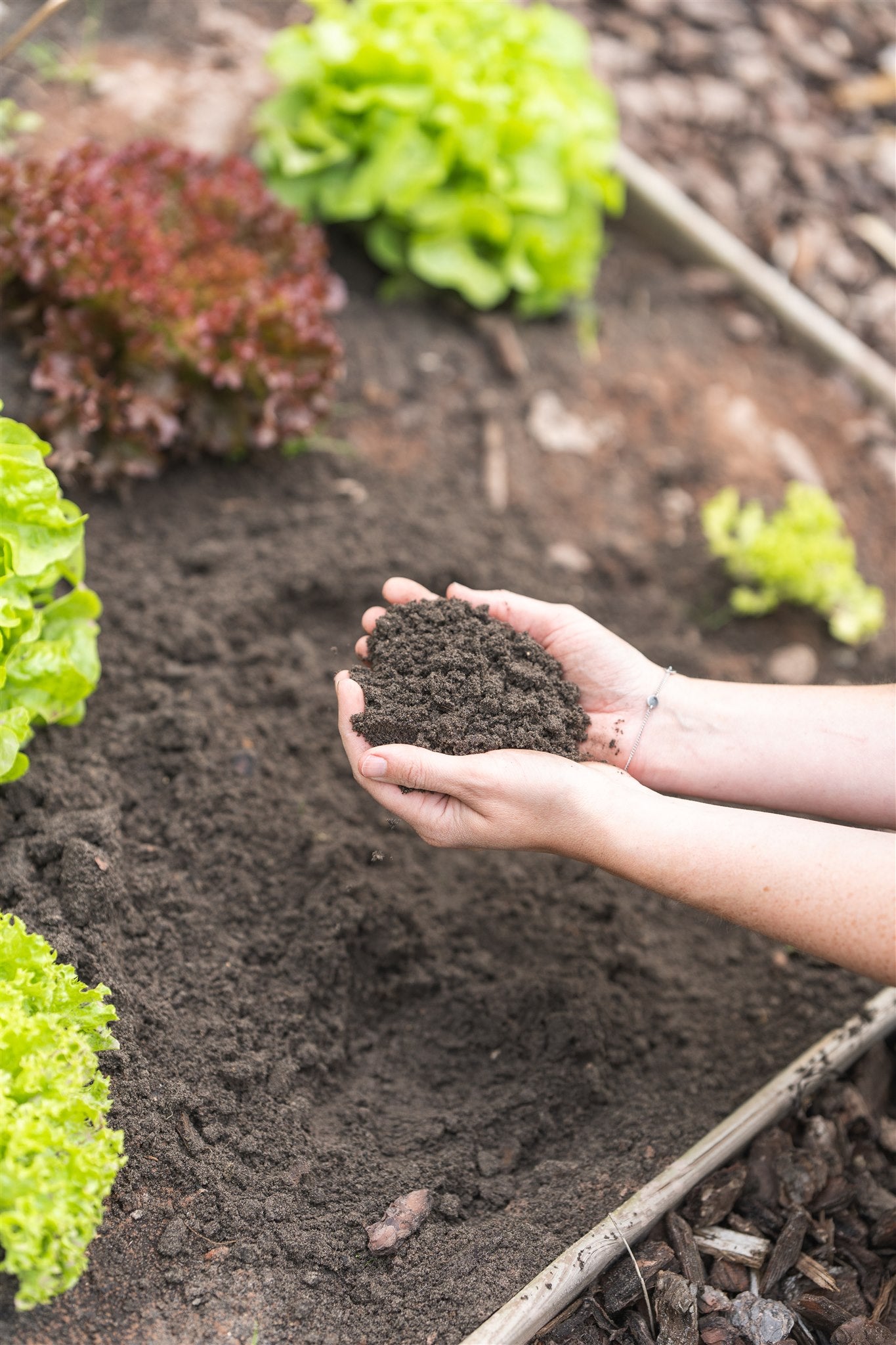 Moestuin handen