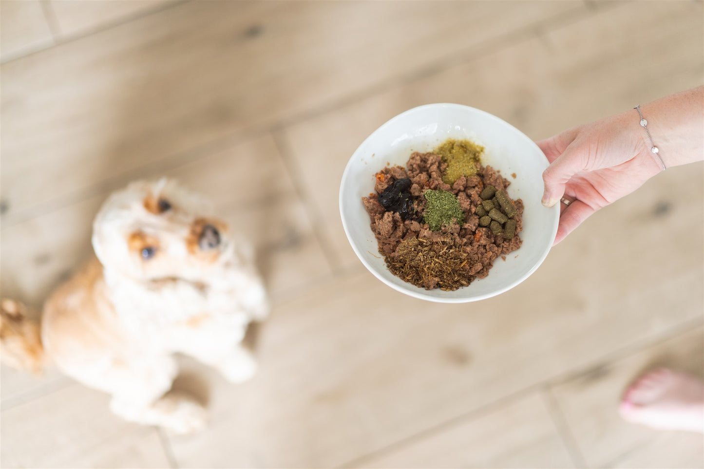 Honden voeding met groene hennep