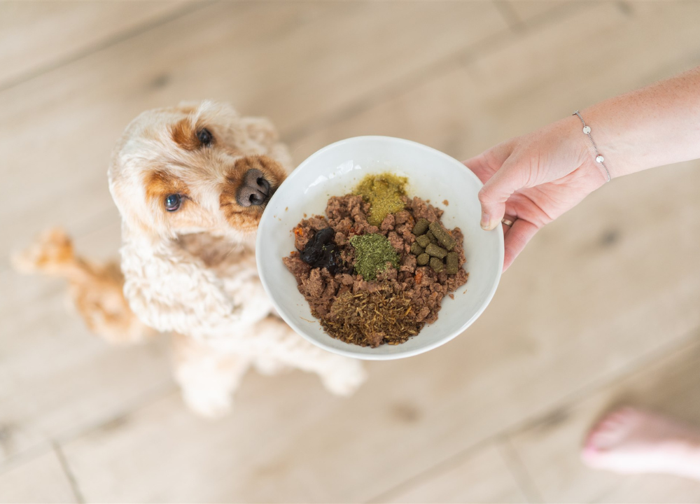 Honden voeding collectie