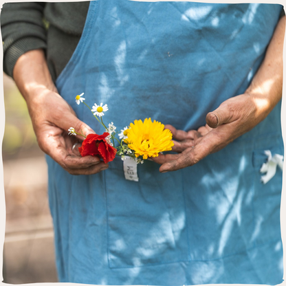 Tubinger bloemen in hand