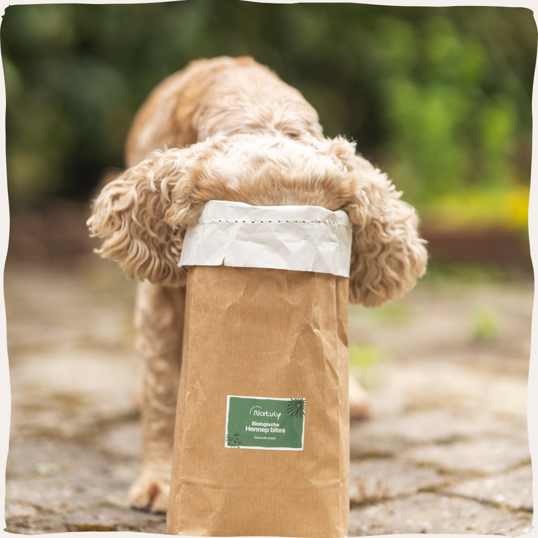 Hennep bites hond
