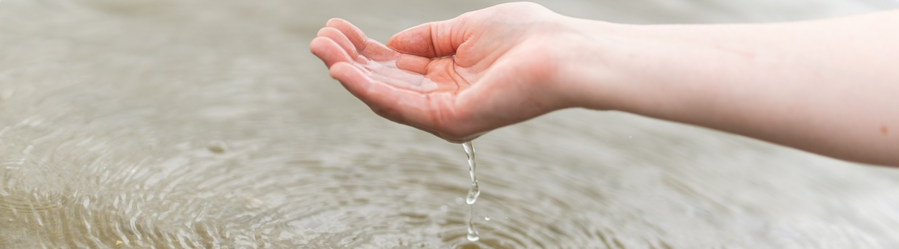 Watervitaliteit